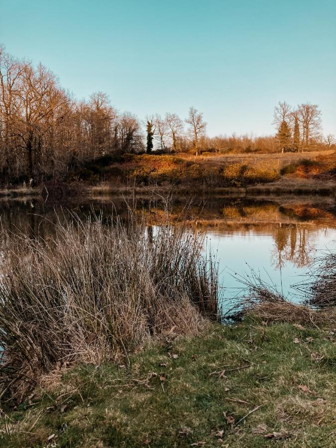 La Ferme Du Pont De Maumy, Cabane Au Bord De L'Etang Et Bain Nordique Busserolles Экстерьер фото