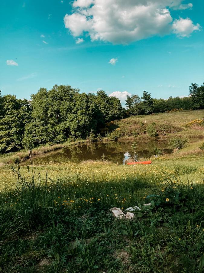 La Ferme Du Pont De Maumy, Cabane Au Bord De L'Etang Et Bain Nordique Busserolles Экстерьер фото
